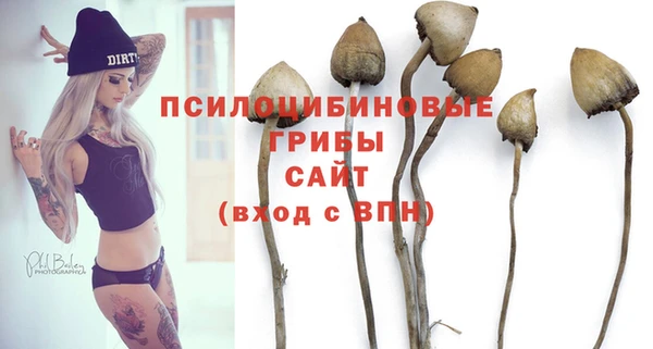 apvp Семикаракорск
